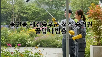🏡 웅진동 새집증후군 청소, 숨겨진 꿀팁 대방출! ✨