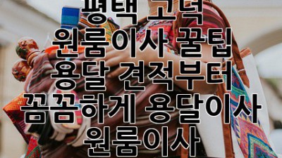 평택 고덕 원룸이사 꿀팁🍯 용달 견적부터 꼼꼼하게! #용달이사 #원룸이사